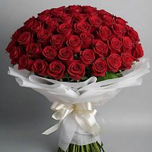 Букет 101 Красная роза Блэк Мэджик в Пятигорске