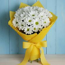 Букет Застенчивые лепестки в Пятигорске Букет цветов из:  Хризантемы в Пятигорске