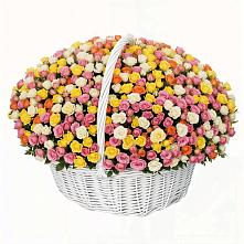 Премиум букет из: Розы в Пятигорске