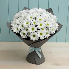 Букет цветов из:  Хризантемы в Пятигорске