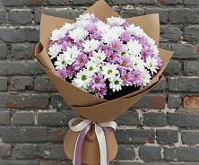 Букет цветов из:  Хризантемы в Пятигорске