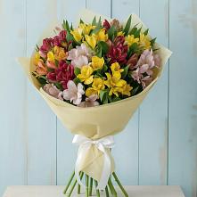 Букет цветов из:  Альстромерии в Пятигорске