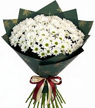 Букет цветов из:  Хризантемы в Пятигорске