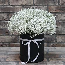 Цветочная композиция из Гипсофила в шляпной коробке в Пятигорске