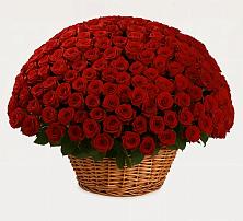 Премиум букет из: Розы в Пятигорске