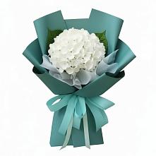 Букет цветов из:  Гортензия в Пятигорске